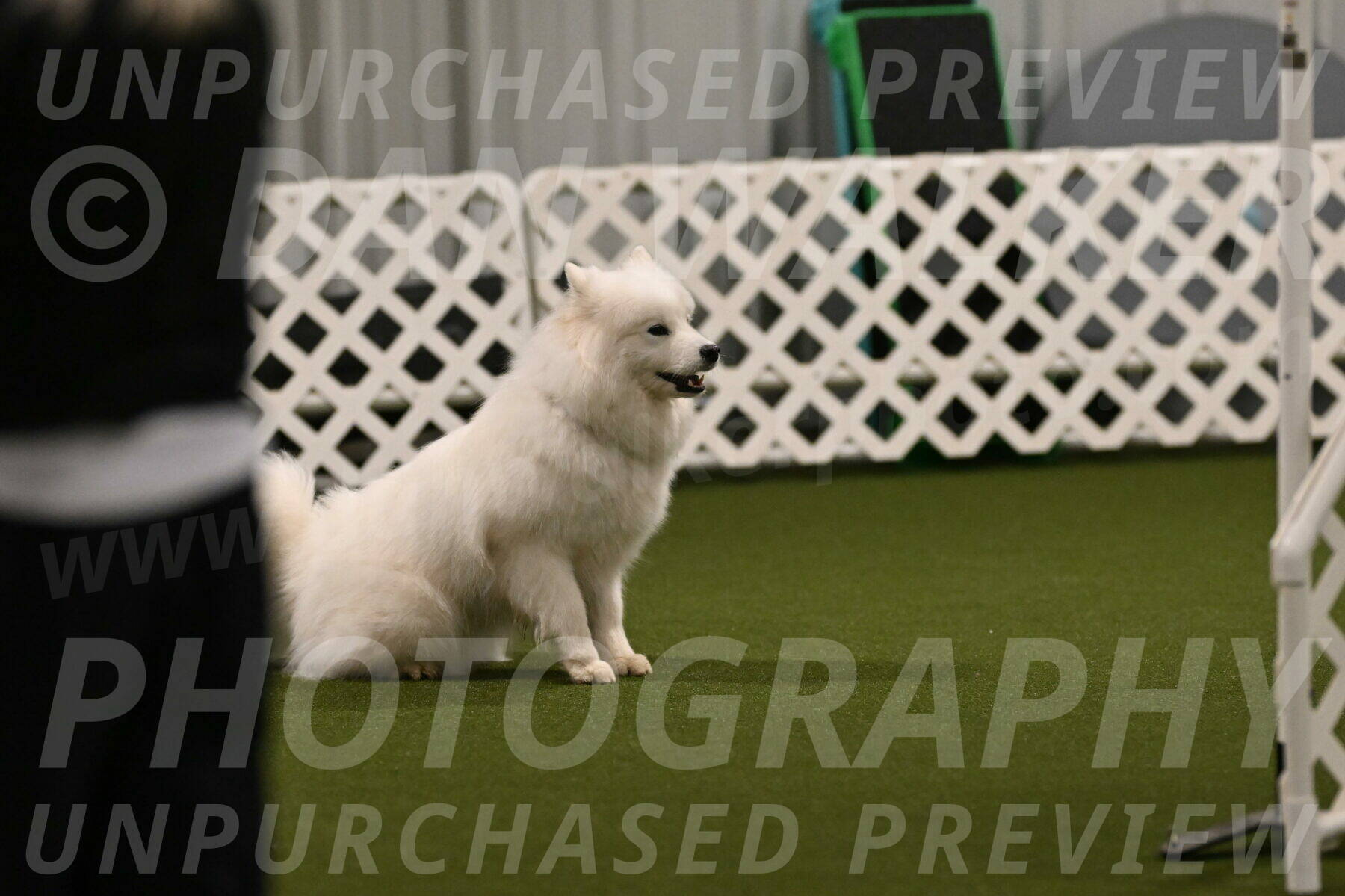 Expo-Pam-Lewis-04009