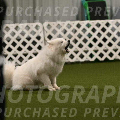 Expo-Pam-Lewis-04010