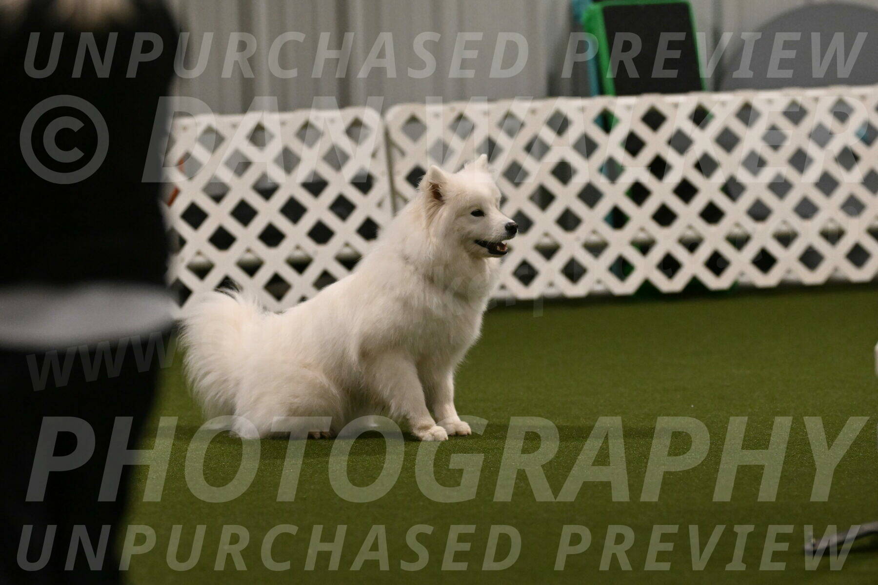 Expo-Pam-Lewis-04011