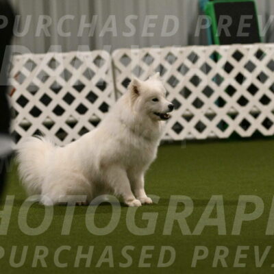 Expo-Pam-Lewis-04011