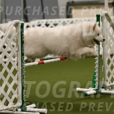 Expo-Pam-Lewis-04012