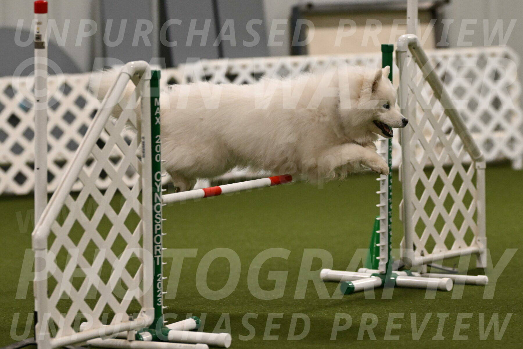 Expo-Pam-Lewis-04012