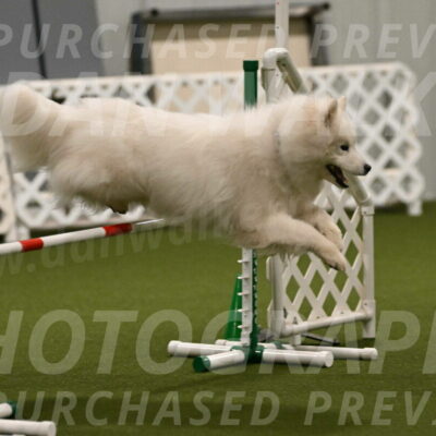 Expo-Pam-Lewis-04013