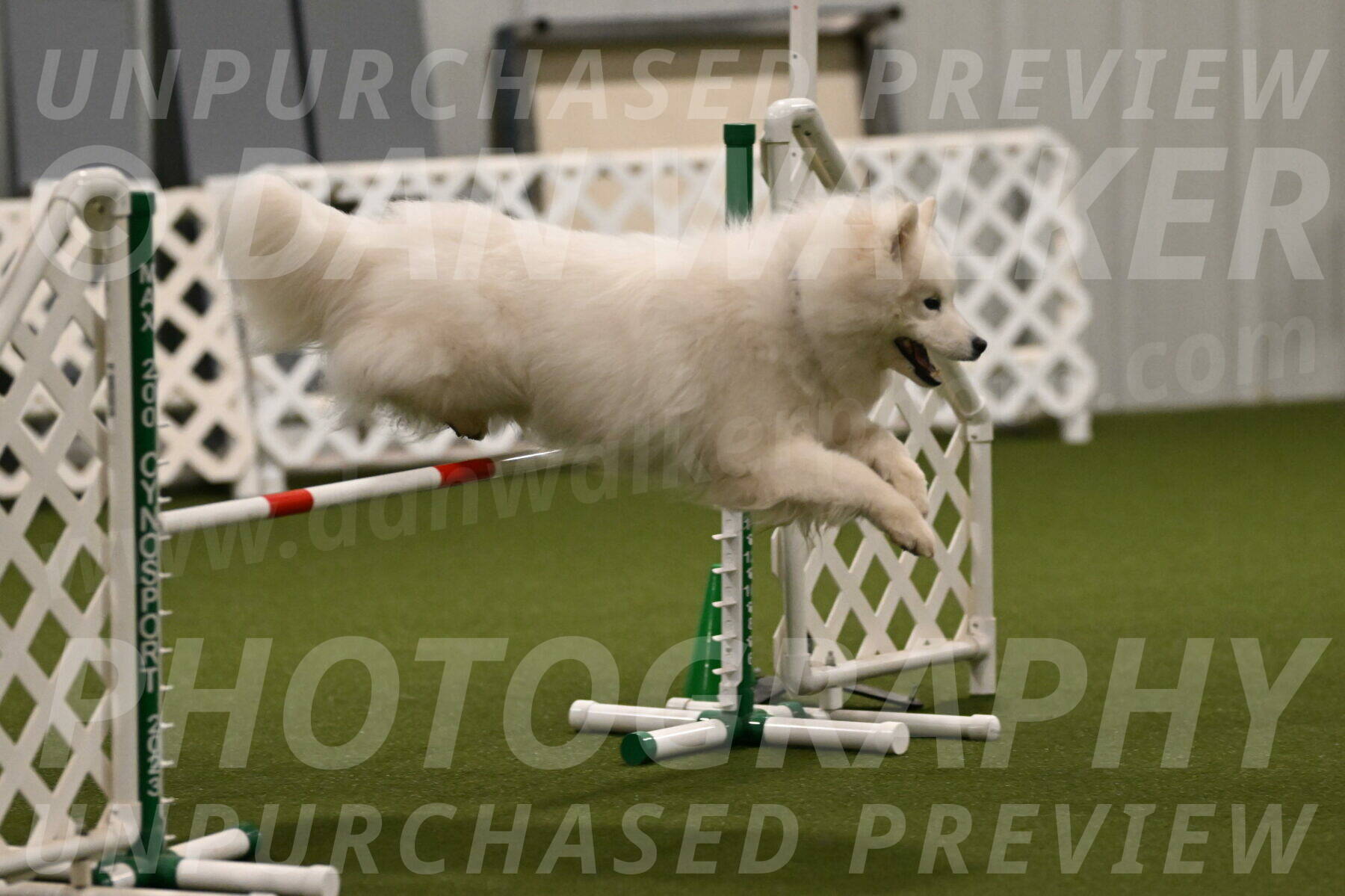 Expo-Pam-Lewis-04013