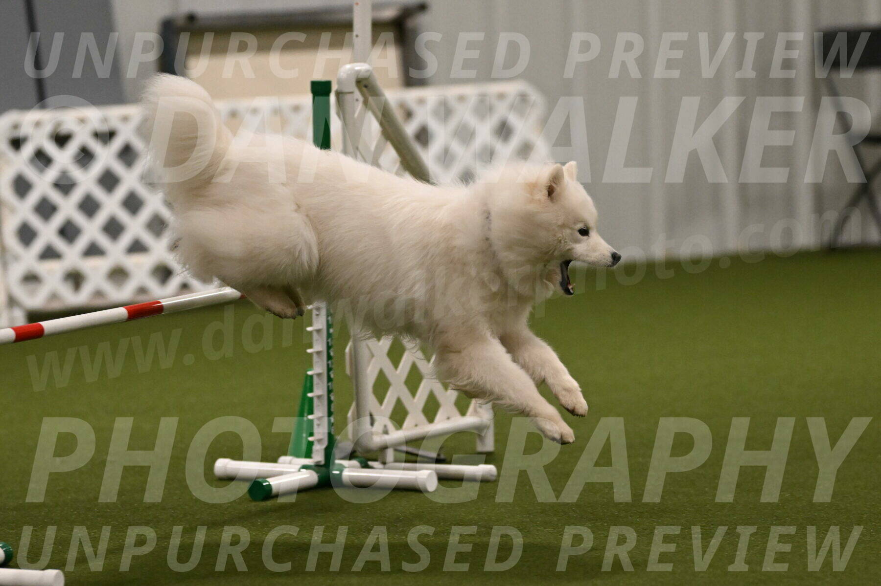 Expo-Pam-Lewis-04014