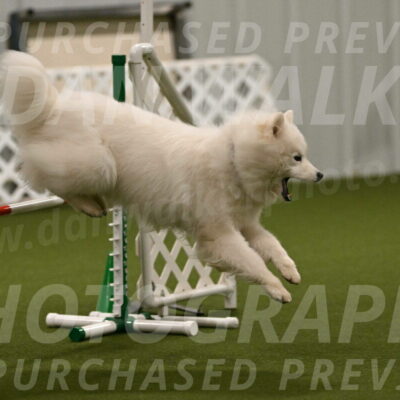 Expo-Pam-Lewis-04014