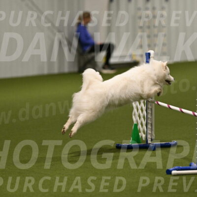 Expo-Pam-Lewis-04015