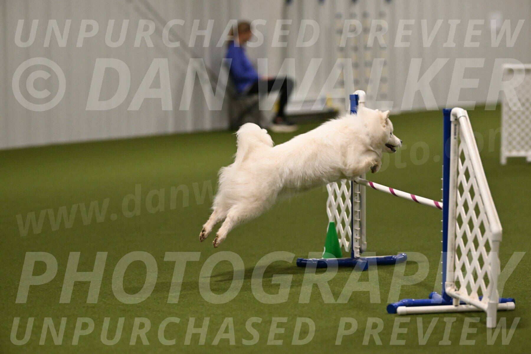 Expo-Pam-Lewis-04015