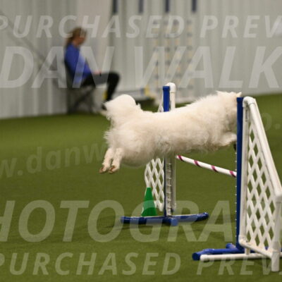 Expo-Pam-Lewis-04016