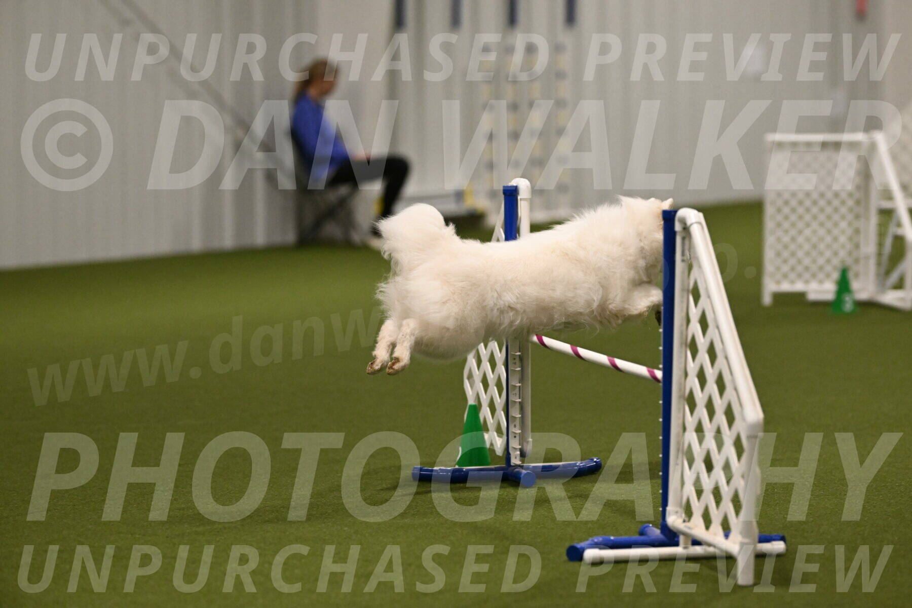 Expo-Pam-Lewis-04016