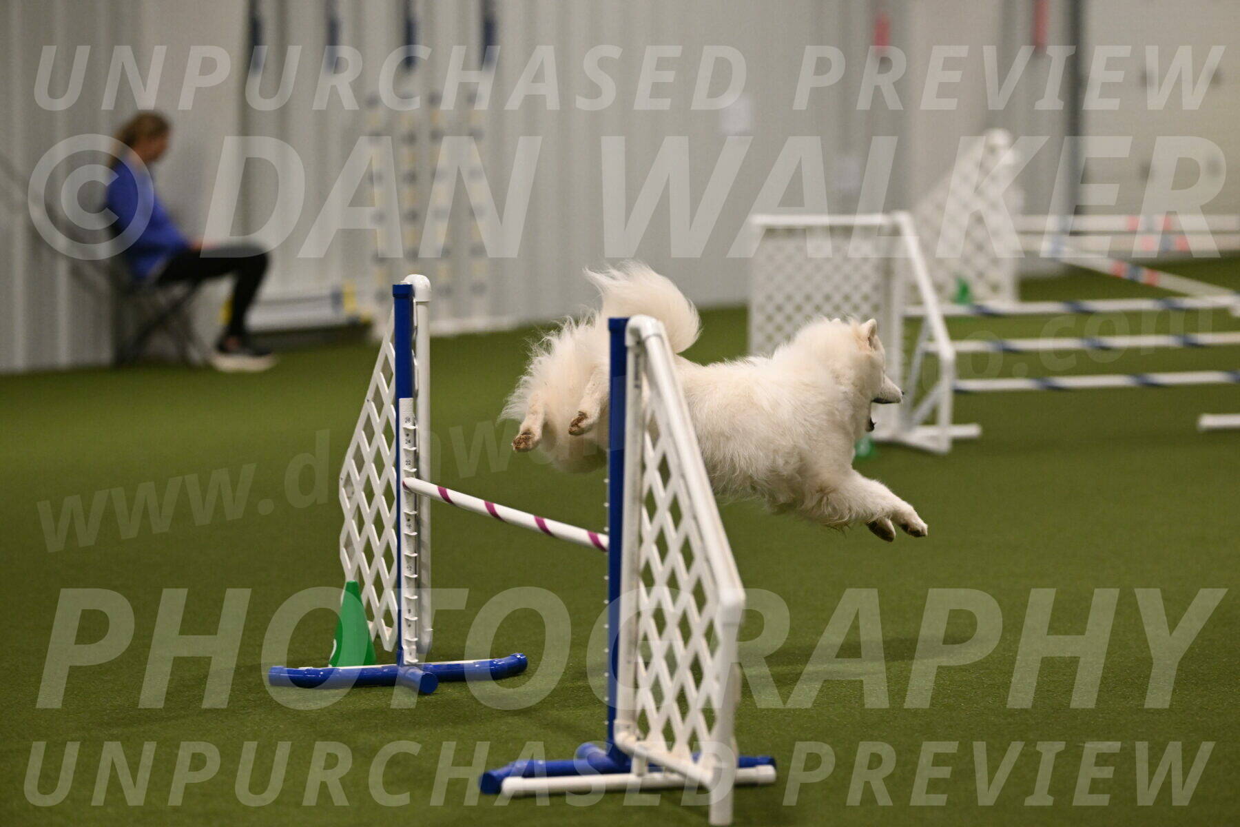 Expo-Pam-Lewis-04017