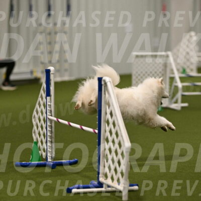 Expo-Pam-Lewis-04017