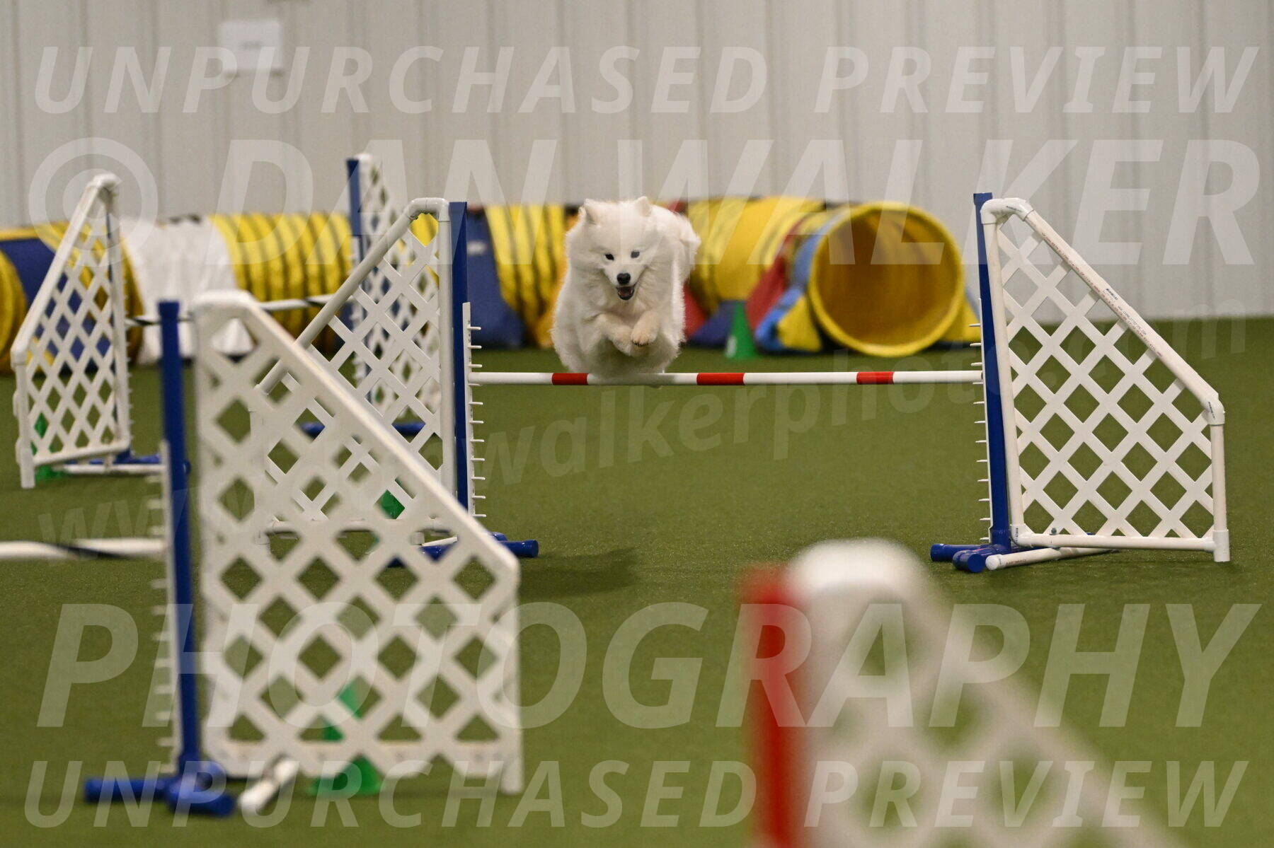 Expo-Pam-Lewis-04018