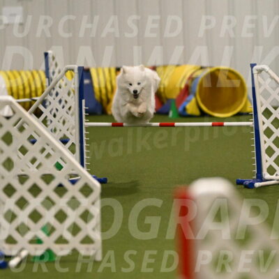 Expo-Pam-Lewis-04018