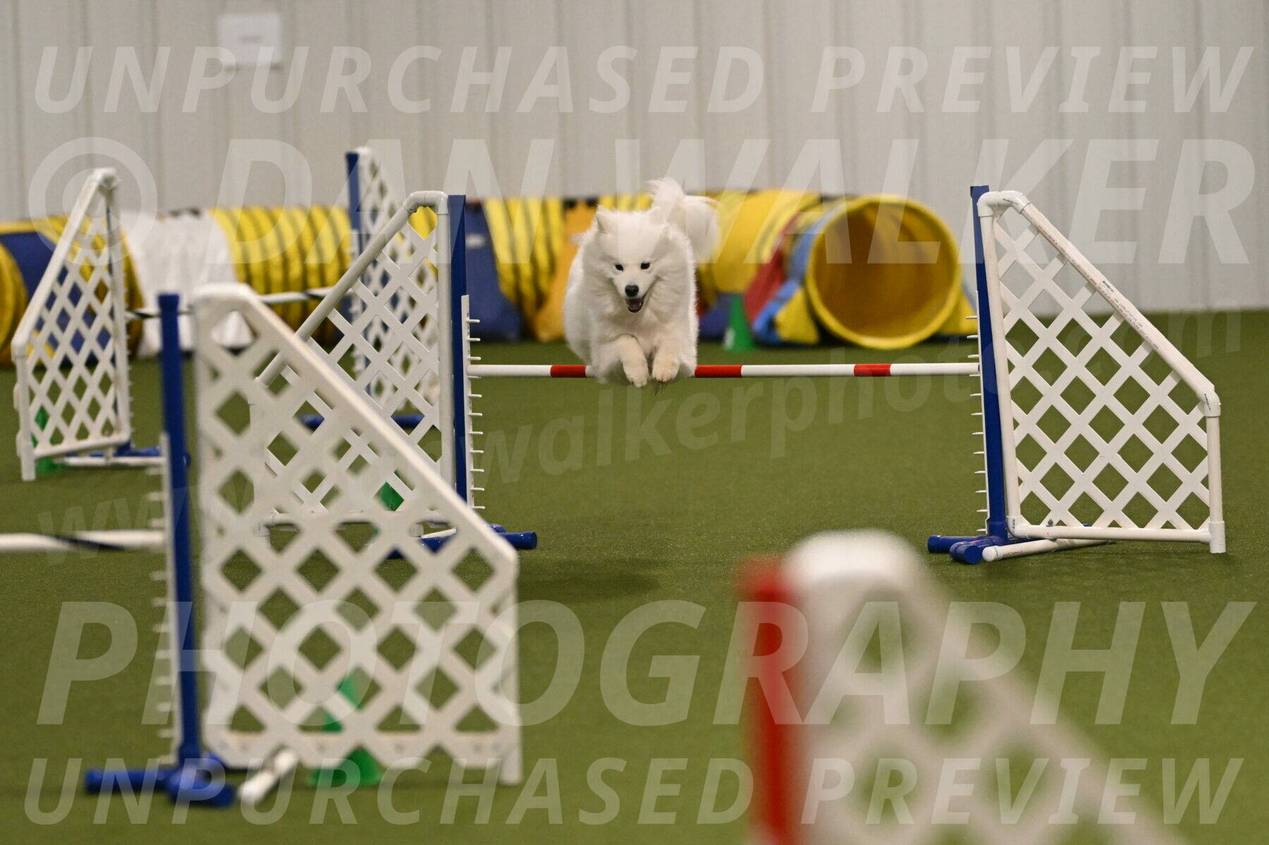 Expo-Pam-Lewis-04019