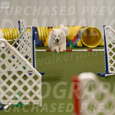 Expo-Pam-Lewis-04019