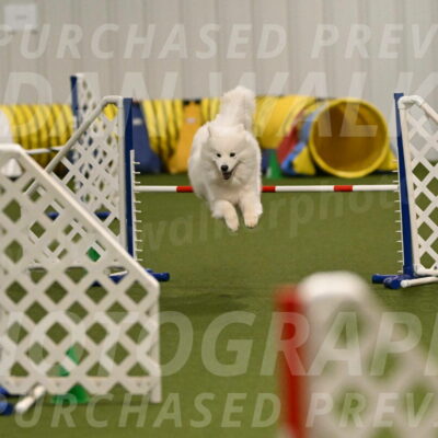 Expo-Pam-Lewis-04020