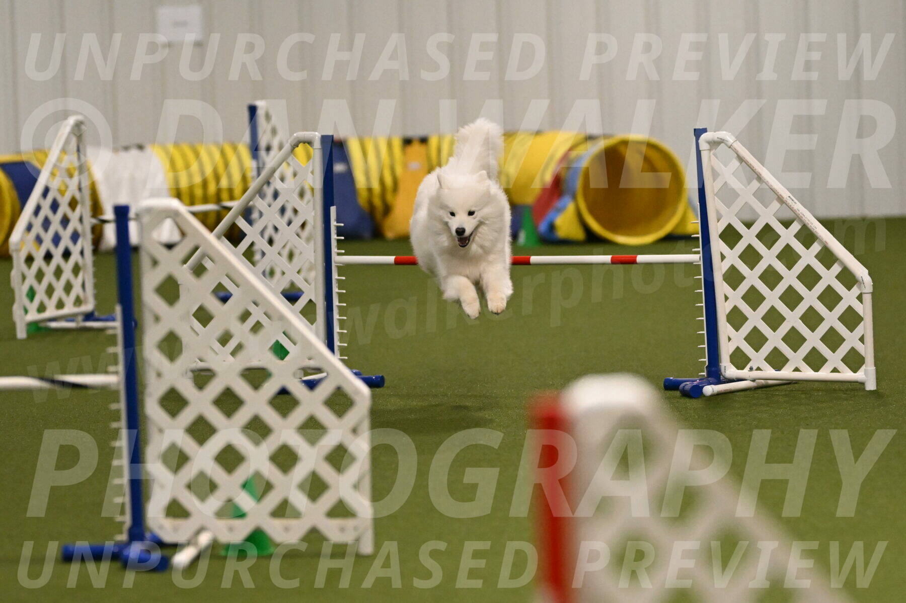 Expo-Pam-Lewis-04020