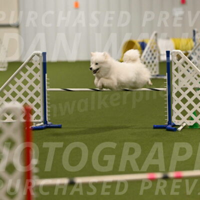 Expo-Pam-Lewis-04021