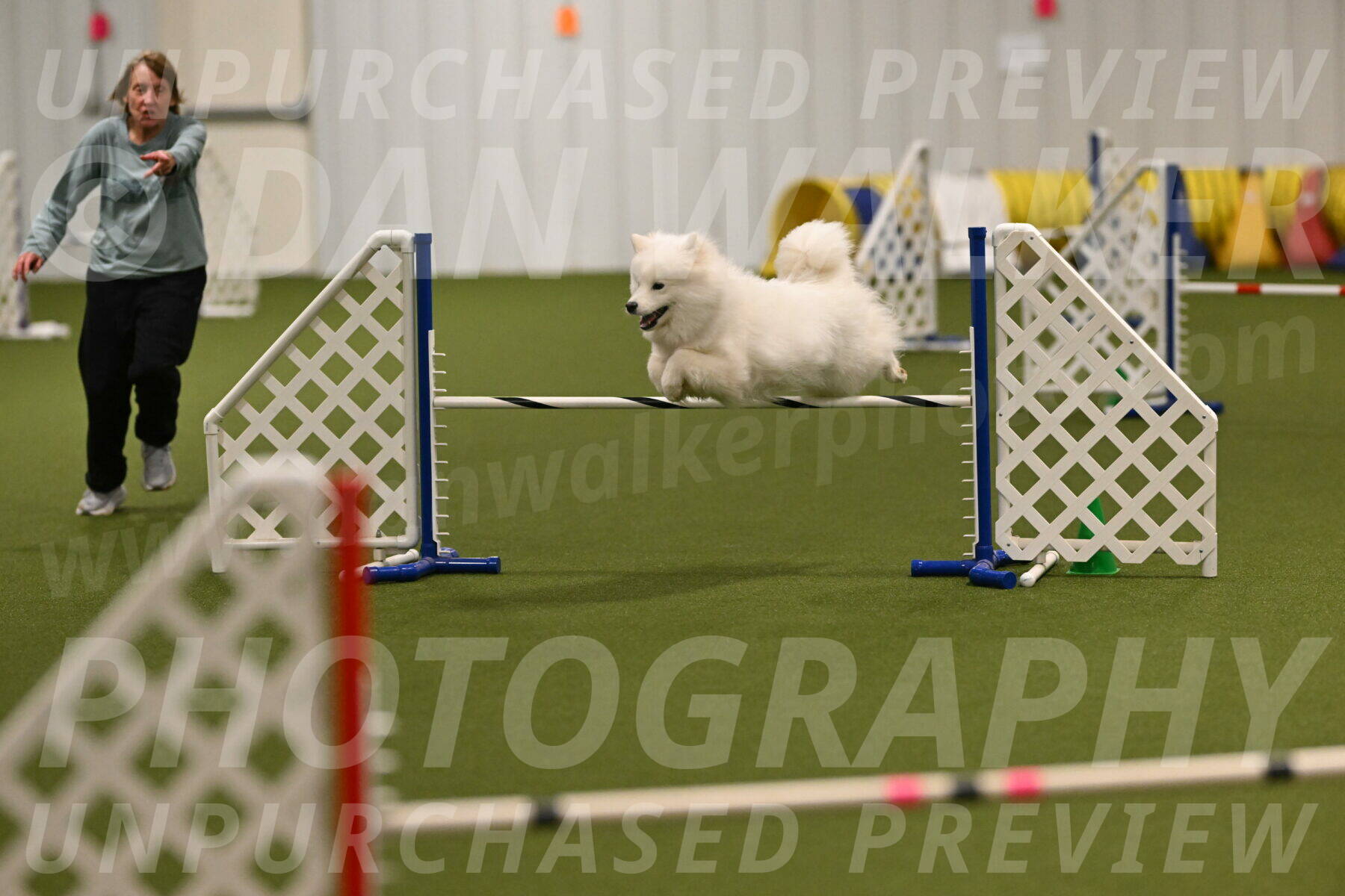 Expo-Pam-Lewis-04021