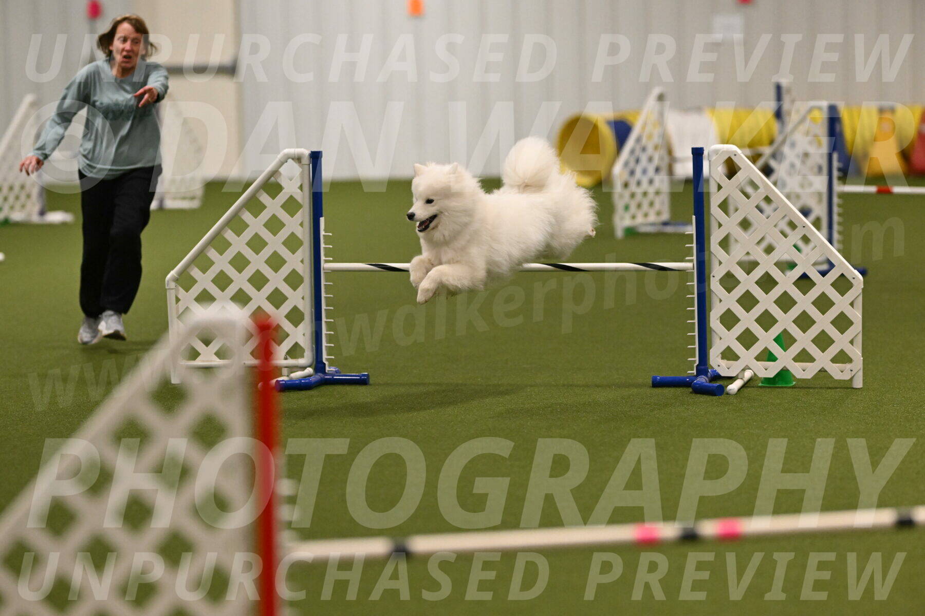 Expo-Pam-Lewis-04022