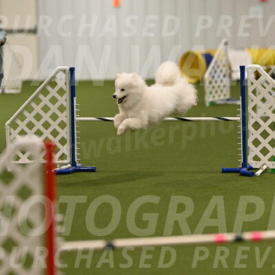 Expo-Pam-Lewis-04022