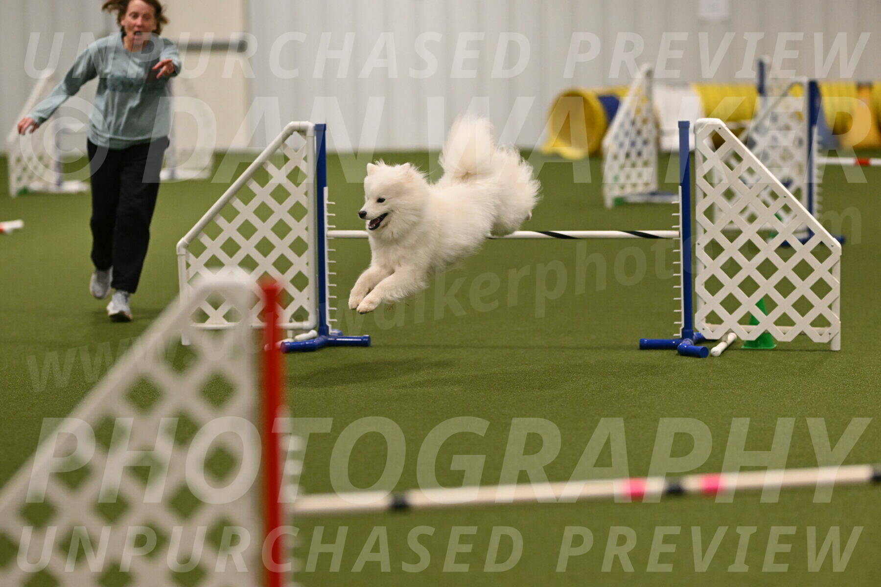 Expo-Pam-Lewis-04023