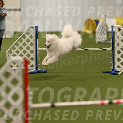 Expo-Pam-Lewis-04023