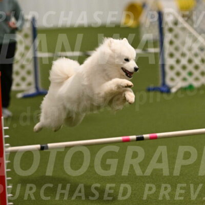 Expo-Pam-Lewis-04024