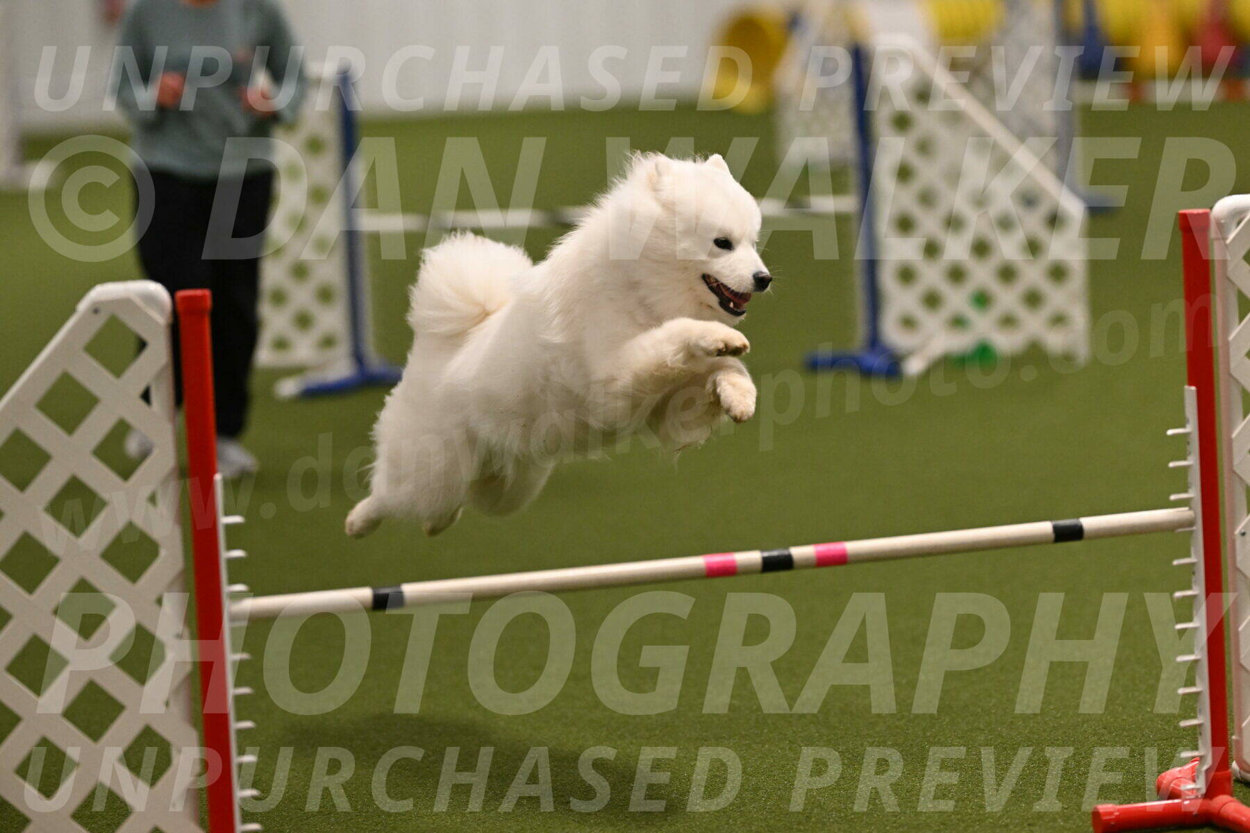 Expo-Pam-Lewis-04024