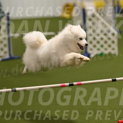 Expo-Pam-Lewis-04025