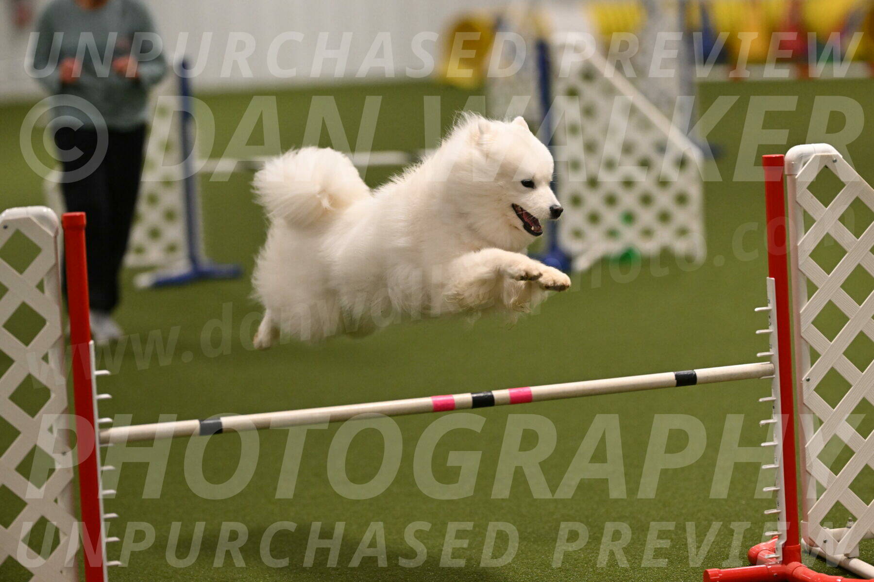 Expo-Pam-Lewis-04025