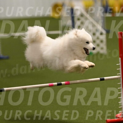 Expo-Pam-Lewis-04026