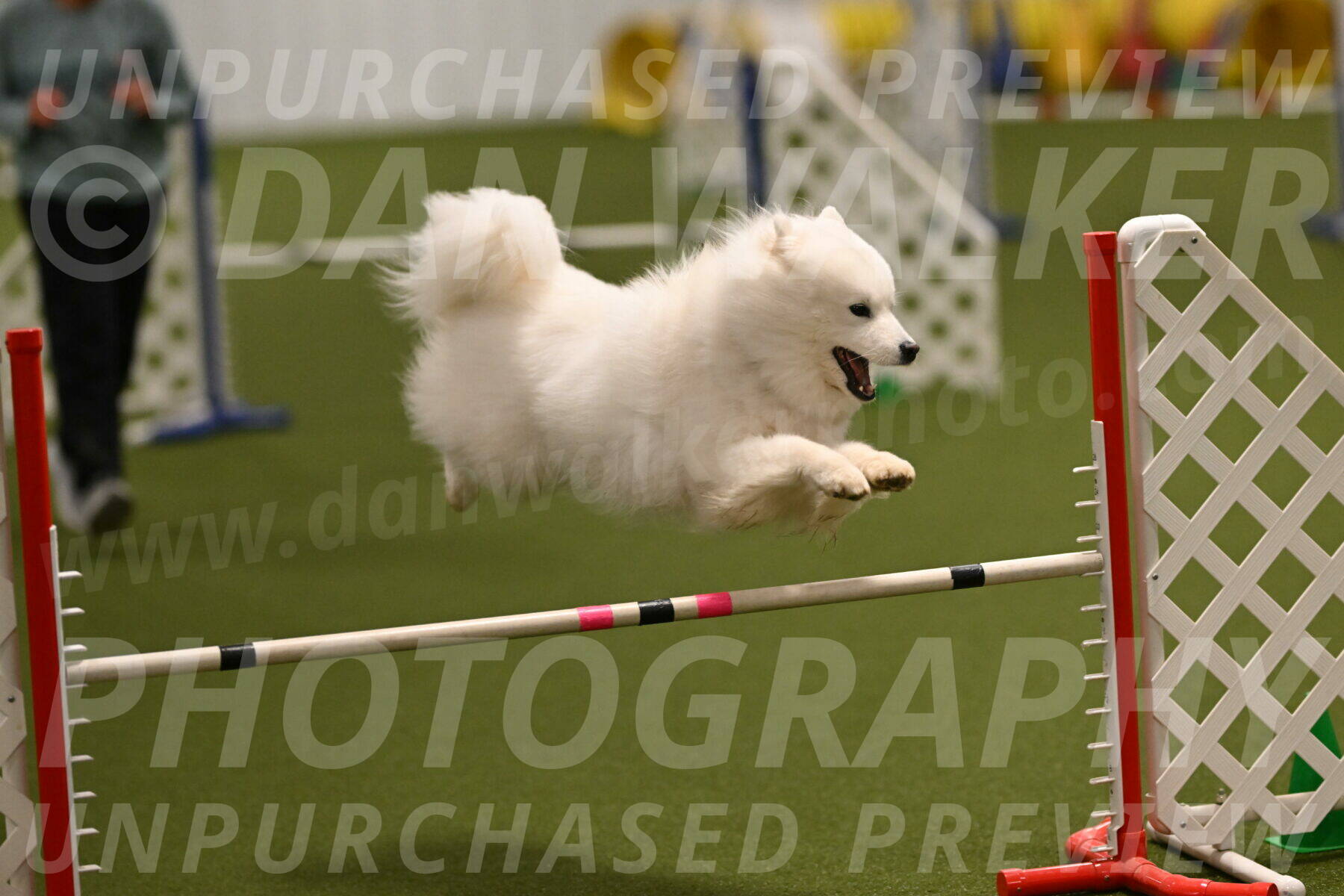 Expo-Pam-Lewis-04026