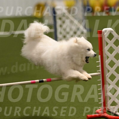 Expo-Pam-Lewis-04027