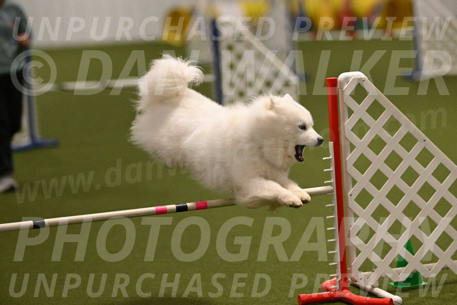 Expo-Pam-Lewis-04027