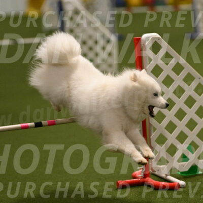 Expo-Pam-Lewis-04028