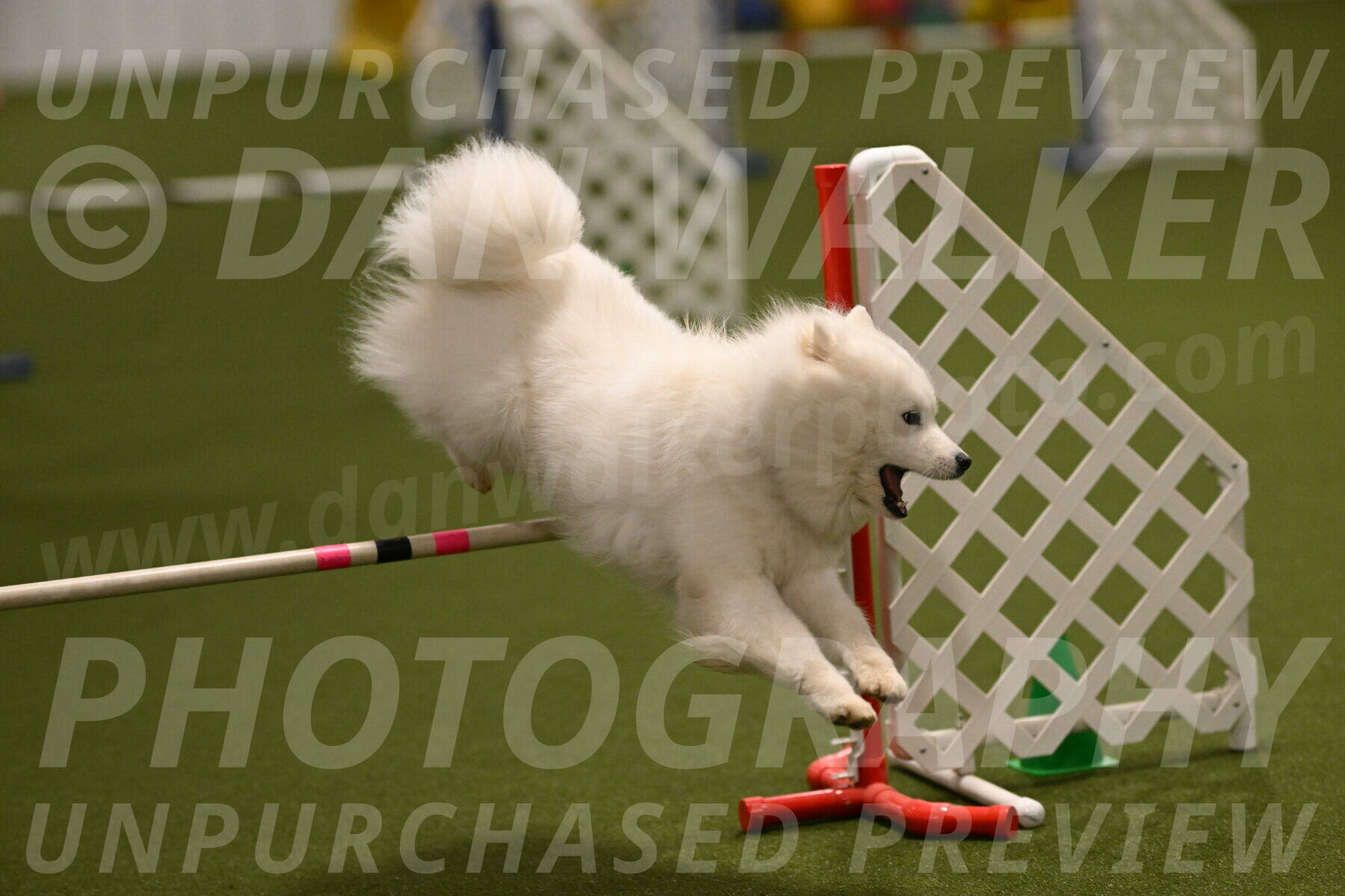 Expo-Pam-Lewis-04028