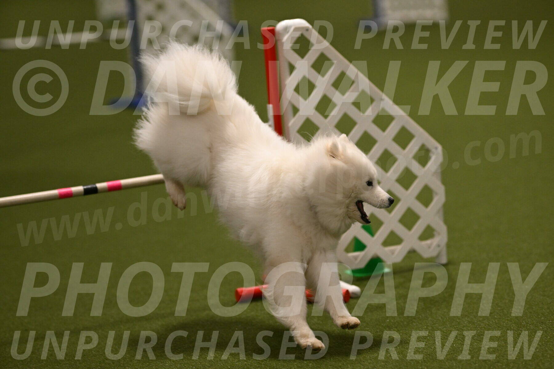 Expo-Pam-Lewis-04029