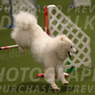 Expo-Pam-Lewis-04029