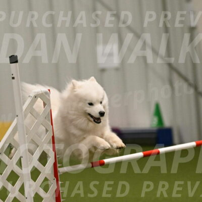 Expo-Pam-Lewis-04030