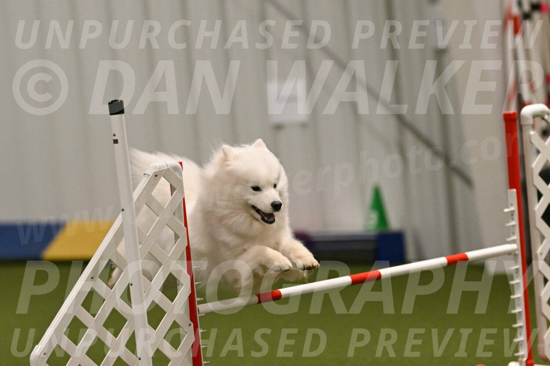 Expo-Pam-Lewis-04030