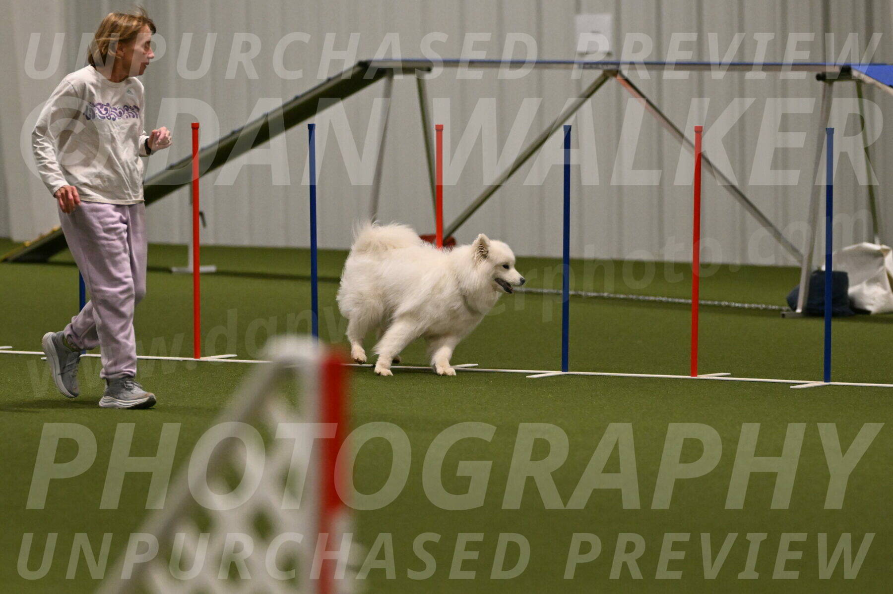 Expo-Pam-Lewis-04031