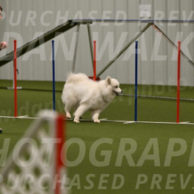 Expo-Pam-Lewis-04031