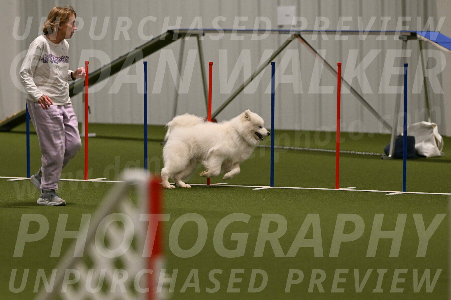 Expo-Pam-Lewis-04032