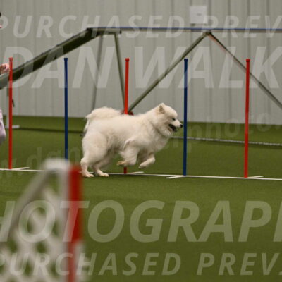 Expo-Pam-Lewis-04032