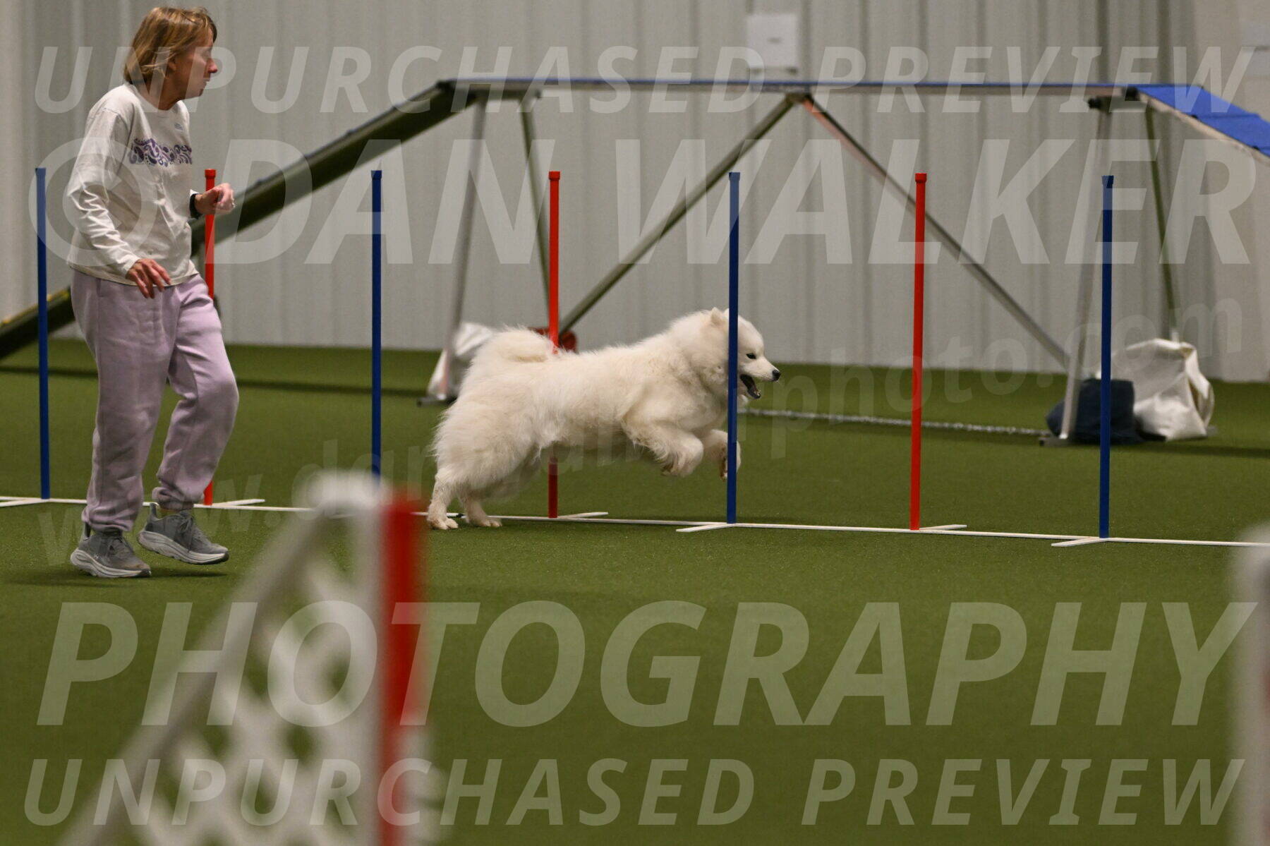 Expo-Pam-Lewis-04033