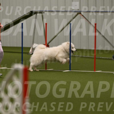 Expo-Pam-Lewis-04033