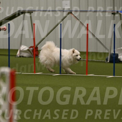 Expo-Pam-Lewis-04034