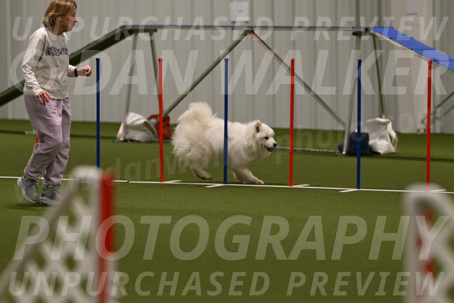 Expo-Pam-Lewis-04034